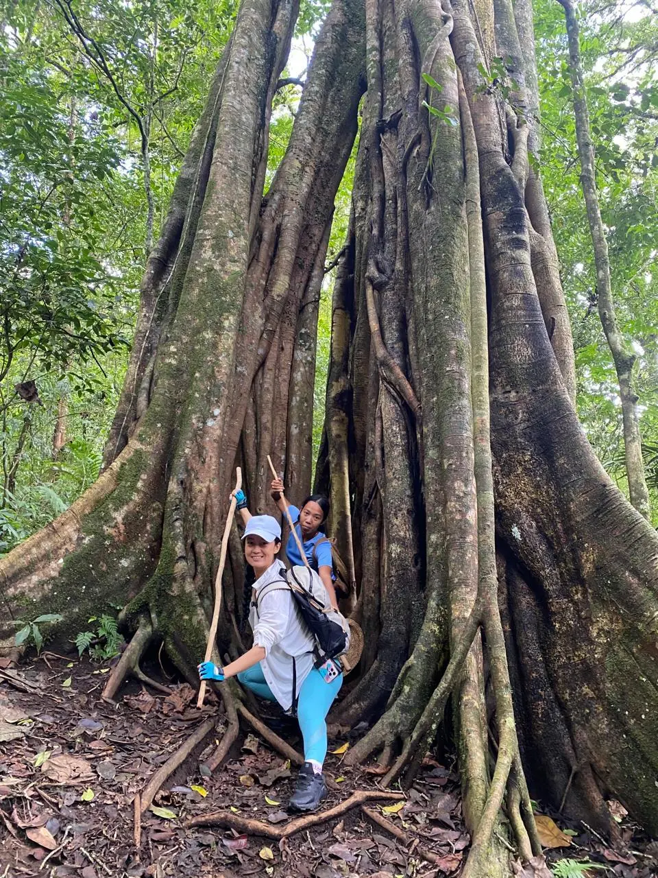 Jungle Trekking & Waterfall — arranged by Swarma Villas