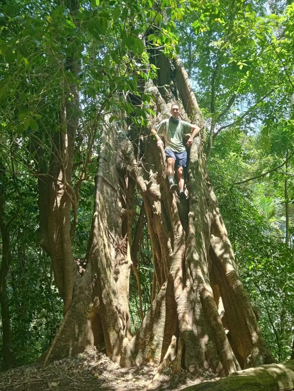 Nature Adventure at Swarma Villas