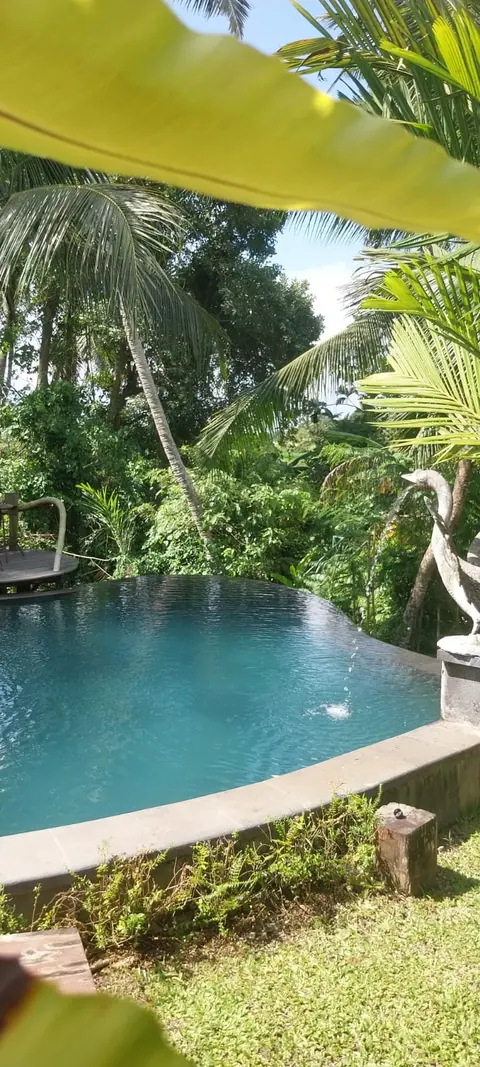 The pool seen from the garden path