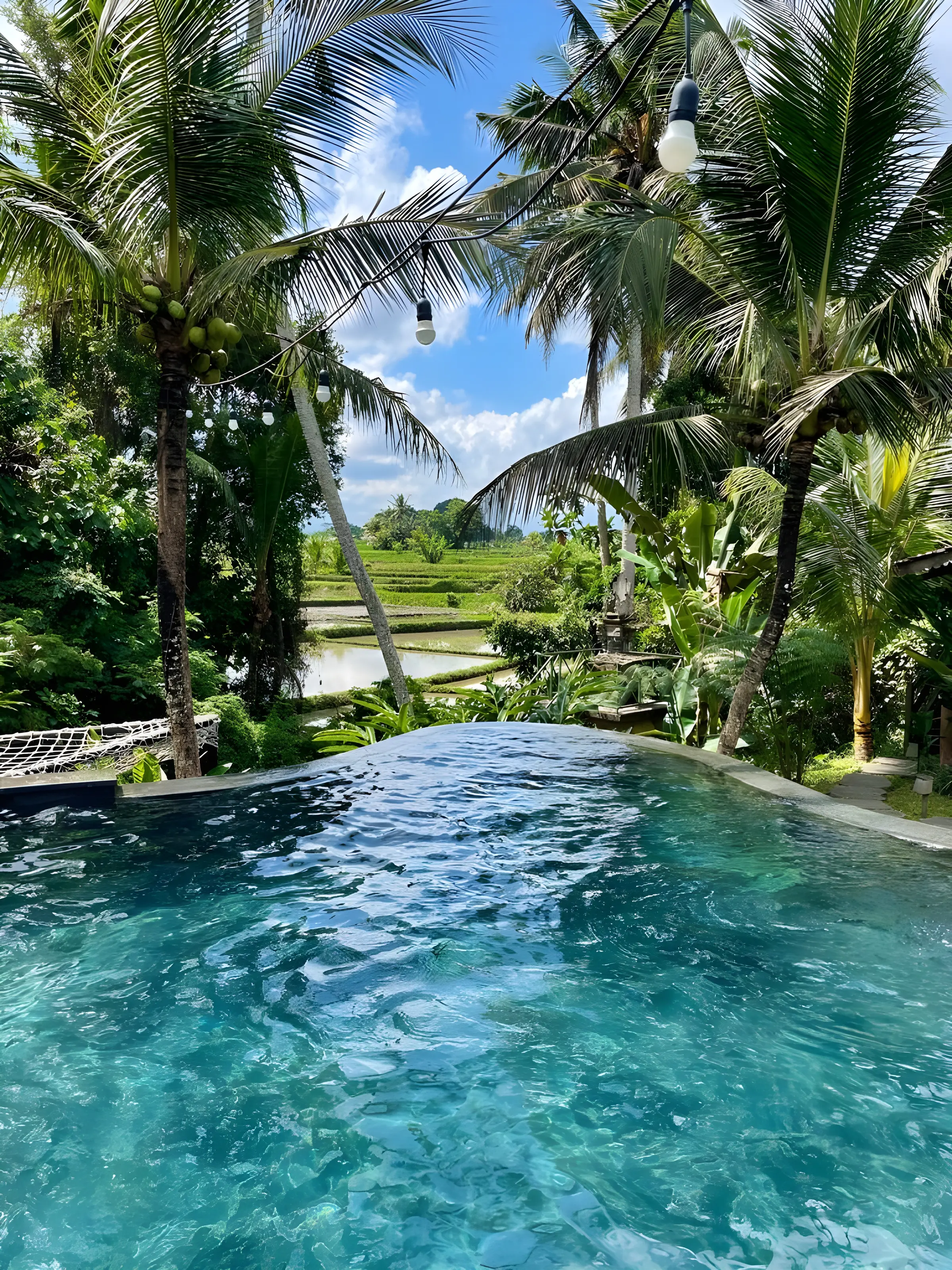 The pool under the palms at Swarma Villas
