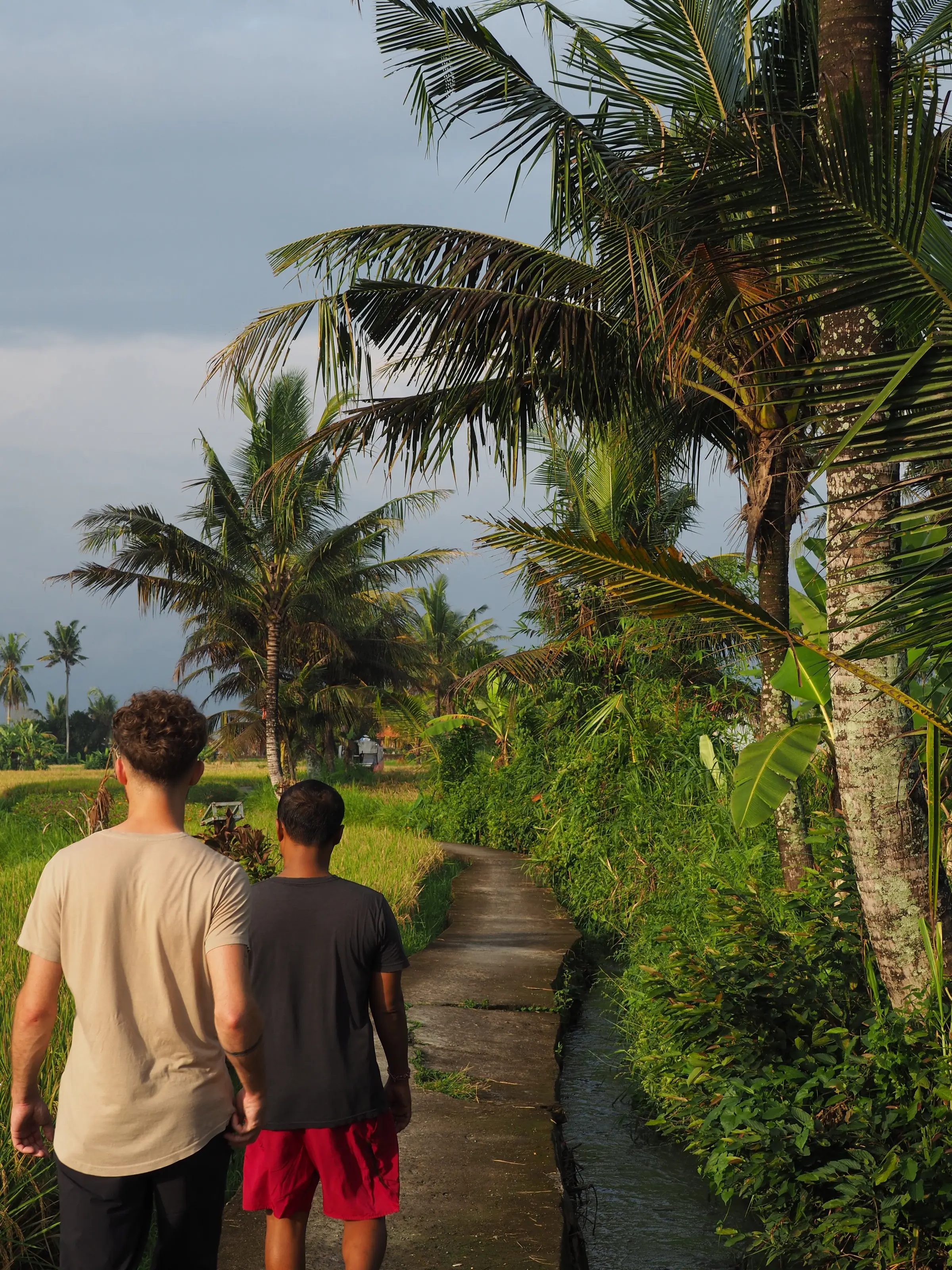 Rice Field Walking — arranged by Swarma Villas