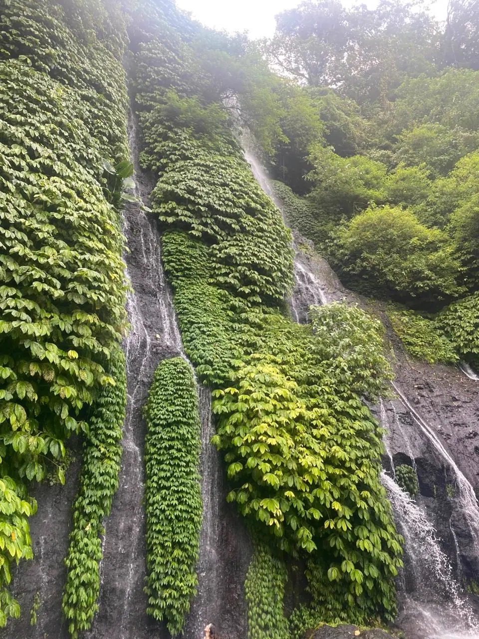More of Indonesia — arranged by Swarma Villas