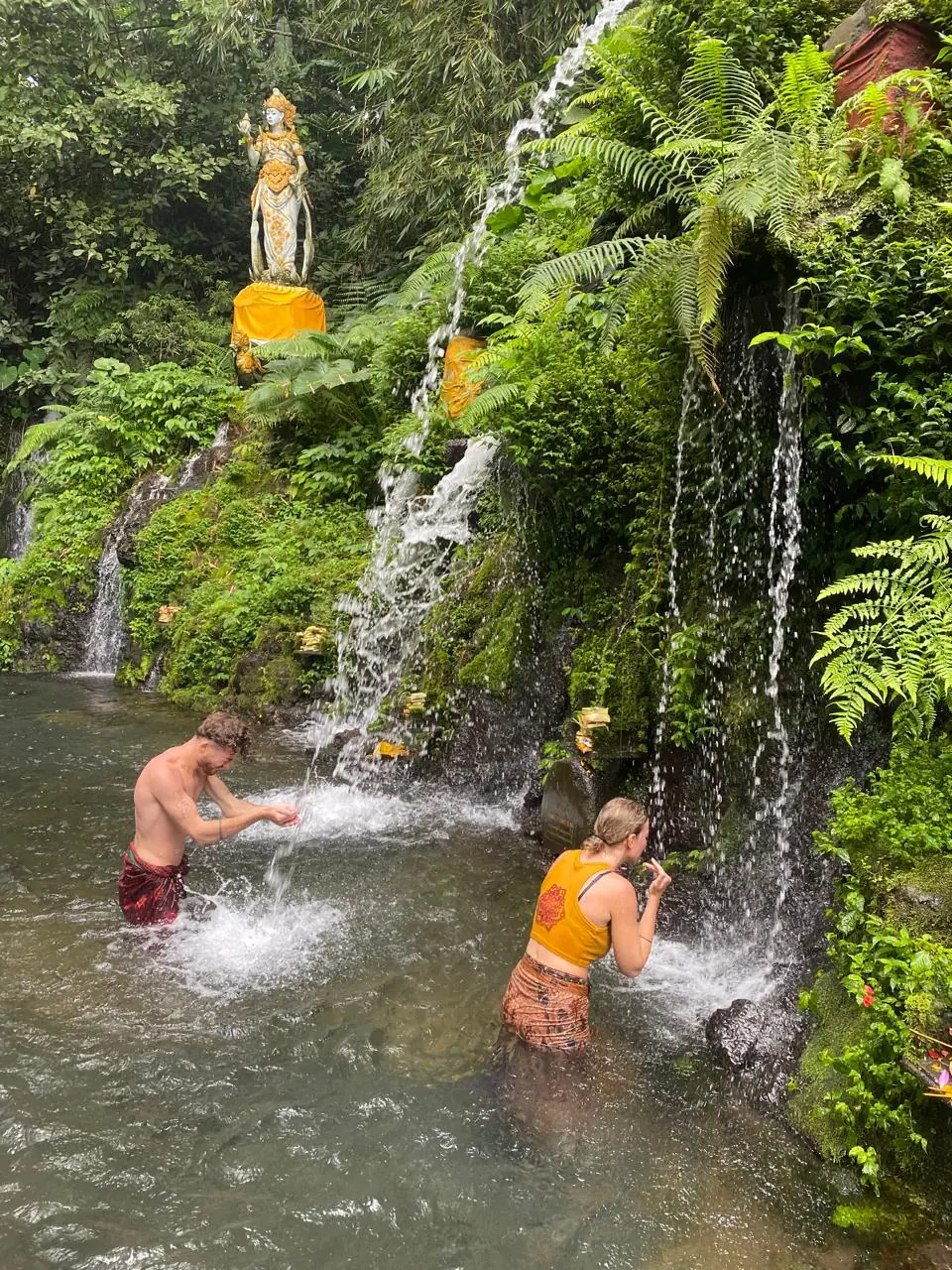 Wellness Journey at Swarma Villas